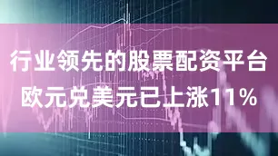 行业领先的股票配资平台欧元兑美元已上涨11%