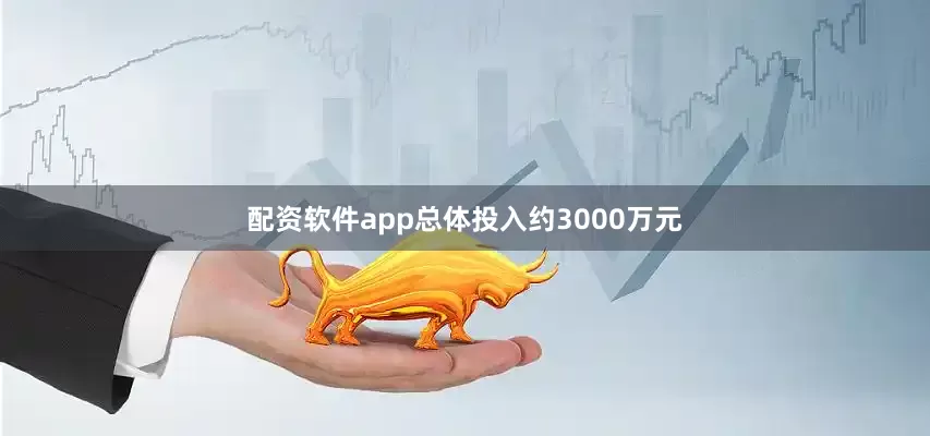 配资软件app总体投入约3000万元