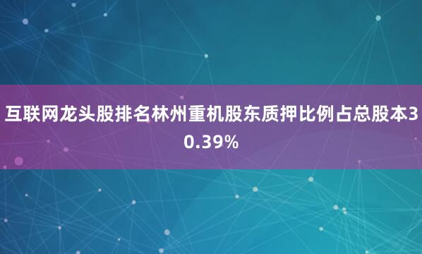 互联网龙头股排名林州重机股东质押比例占总股本30.39%