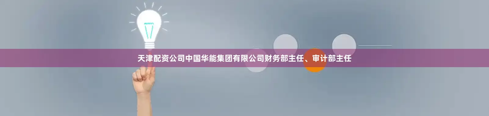 天津配资公司中国华能集团有限公司财务部主任、审计部主任