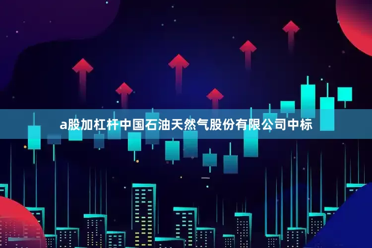 a股加杠杆中国石油天然气股份有限公司中标