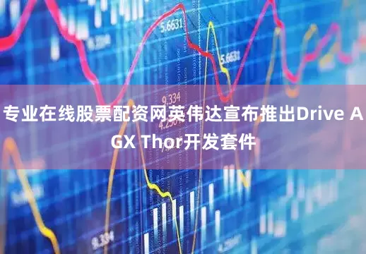 专业在线股票配资网英伟达宣布推出Drive AGX Thor开发套件