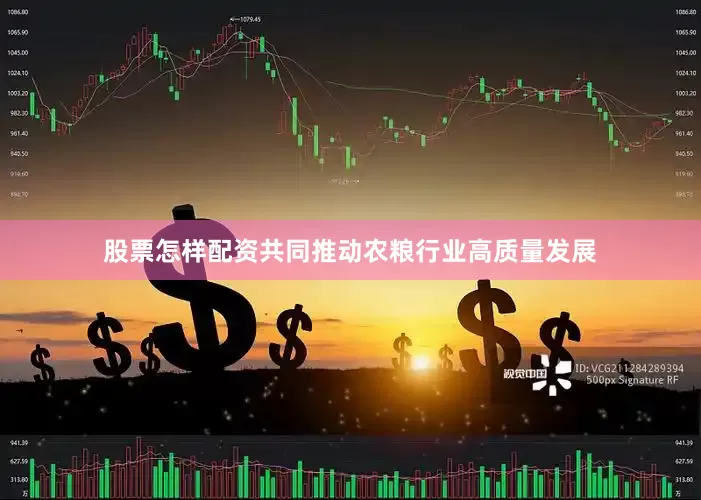 股票怎样配资共同推动农粮行业高质量发展
