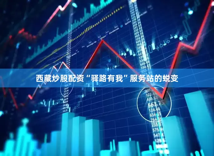 西藏炒股配资“驿路有我”服务站的蜕变