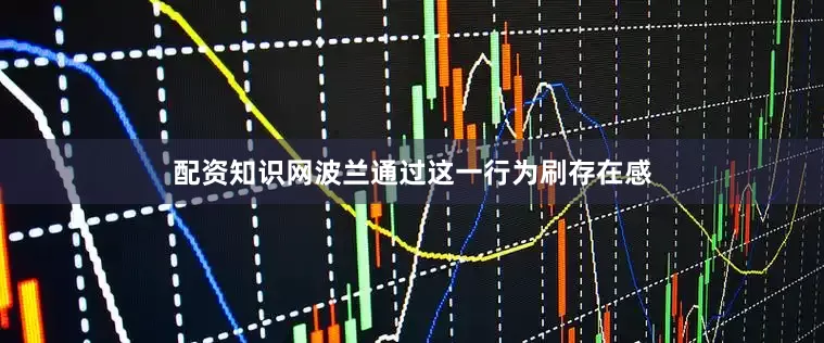 配资知识网波兰通过这一行为刷存在感